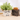 boho style wooden plant pot with natural finish