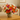 colorful autumn flowers for seasonal home decor