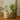 dreamy home ceramic donut vase in minimalist design