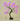 LED Christmas card tree lamp for cozy holiday decor