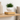 gravity-defying plant pot with sleek floating effect