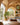 Shop by space collection featuring curated home decor ideas for every room from Dreamy Home