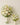 Bouquets collection featuring elegant and handcrafted floral arrangements from Dreamy Home
