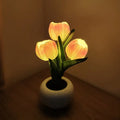 Tulip Flower Pot Lamp