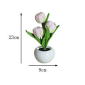 Tulip Flower Pot Lamp
