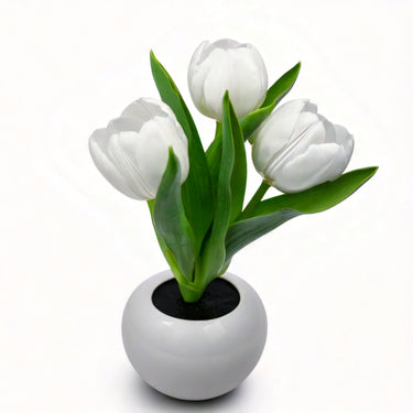 Tulip Flower Pot Lamp