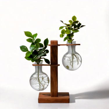Hydroponic Plant Vases
