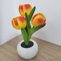 Tulip Flower Pot Lamp