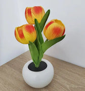 Tulip Flower Pot Lamp
