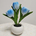 Tulip Flower Pot Lamp