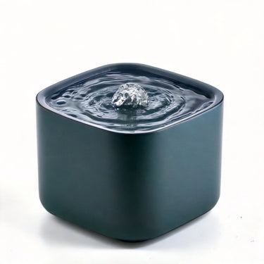 Water Fountain