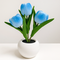Elegant tulip design lamp and planter for interiors