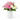 Rose flower bouquet with fresh red roses for romantic occasions