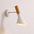 angled slantnose LED wall light for ambient lighting