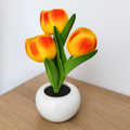 Modern tulip lamp with planter for table or desk display