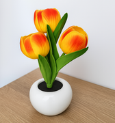 Modern tulip lamp with planter for table or desk display