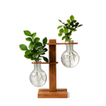 Hydroponic plant vase with transparent glass design