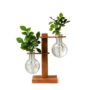 Hydroponic plant vase with transparent glass design