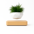  levitating magic flower pot with floating plant design