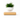  levitating magic flower pot with floating plant design