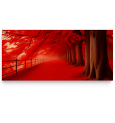 red forest canvas wall art for dramatic home decor
