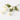 Tall table vase flower arrangement for weddings and events