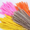 Natural Dried Pampas Grass